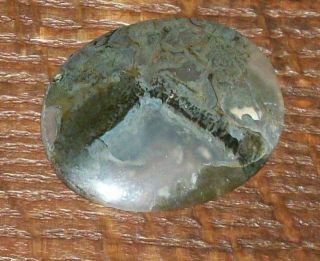 Oval Cabochon Dendritic Moss Agate Deschutes Forrest Choco Prineville River Rock