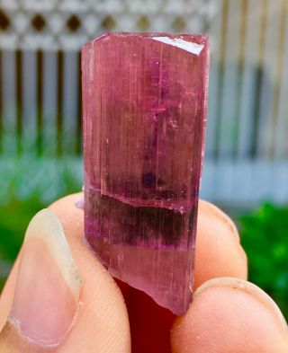 Wow 53 C.  T Top Class Damage Terminated Pink Tourmaline Crystal