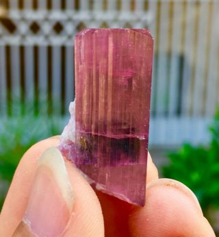WoW 53 C.  T Top Class Damage Terminated Pink Tourmaline Crystal 3