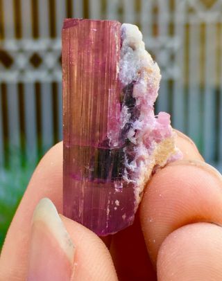WoW 53 C.  T Top Class Damage Terminated Pink Tourmaline Crystal 4