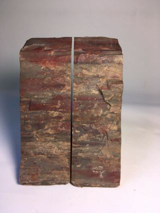 Petrified Wood Bookends Arizona Cut Polished 5 