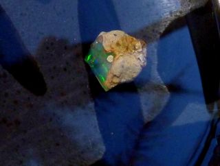 12.  0 carats Virgin Valley Precious Opal Petrified Wood Nevada 18mm 5