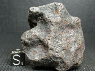 Meteorite - Campo Del Cielo - Iron Meteorite - Cdc - 4717 - 170.  0g Shape