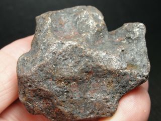 Meteorite - Campo del Cielo - Iron Meteorite - CDC - 4717 - 170.  0g Shape 2