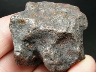 Meteorite - Campo del Cielo - Iron Meteorite - CDC - 4717 - 170.  0g Shape 3