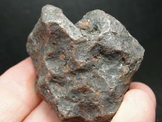 Meteorite - Campo del Cielo - Iron Meteorite - CDC - 4717 - 170.  0g Shape 4
