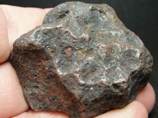 Meteorite - Campo del Cielo - Iron Meteorite - CDC - 4717 - 170.  0g Shape 5