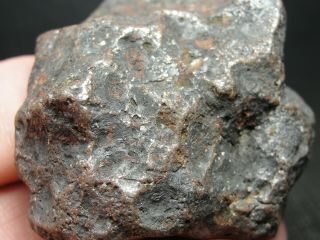 Meteorite - Campo del Cielo - Iron Meteorite - CDC - 4717 - 170.  0g Shape 6