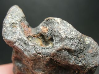 Meteorite - Campo del Cielo - Iron Meteorite - CDC - 4717 - 170.  0g Shape 7