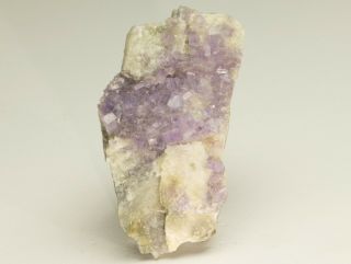 Fine Mineral Specimen Fluorapatite - Foote Mine,  Nc,  Usa - Purple Crystals