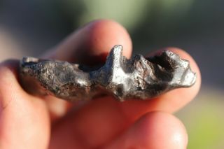 Sikhote Alin Meteorite individual 19.  5 grams 2