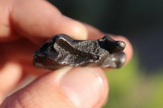 Sikhote Alin Meteorite individual 17.  5 grams 3