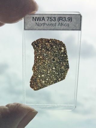Meteorite Thin Section - Nwa 753 (r3.  9) - Rare Rumuruti Chondrite