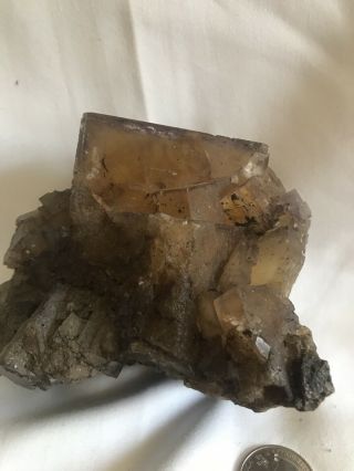 Yellow Purple Fluorite Calcapyrite Inclusions Minerva Mine Hardin Co.  Illinois