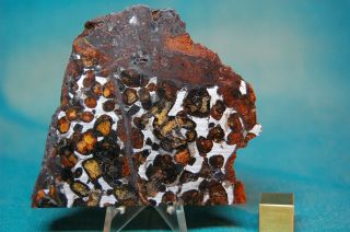 Sericho Pallasite Meteorite 100.  9 Grams