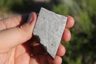 Muonionalusta Meteorite Etched Part Slice 35.  4 Grams