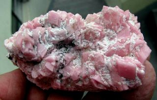 Rhodochrosite Pink Cubic Crystals On Matrix From Peru. .  Piece