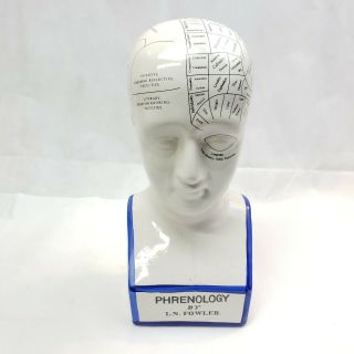 13 " Phrenology Head By L.  N.  Fowler Ceramic Craniology Brain Map Bust