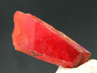 Large Red Rhodonite Rodonite Crystal From Brazil - 1.  0 " - 11.  55 Carats