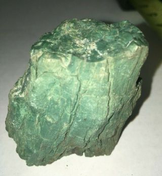 Green Petrified Wood Piece 2 1/2 Inches 119 G