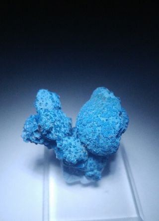 - Unique Blue Shattuckite Crystals On Matrix,  Mine D.  R.  Congo