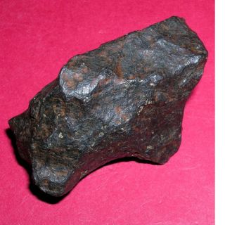 Canyon Diablo Meteorite - 81.  3 Gram Individual