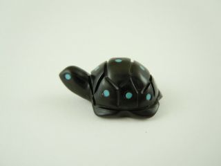 High Dome Zuni Baby Spotted Black Turtle Hatchling Fetish Carving Emery Boone 53