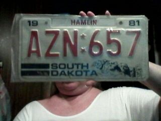 1981 South Dakota License Plate