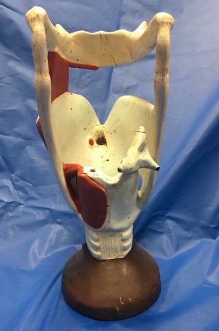 Anatomical Model Vintage Larynx Human Anatomy Incomplete Denoyer Geppert