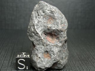 Meteorite - Campo Del Cielo - Iron Meteorite - Cdc - 4712 - 110.  0g Shape