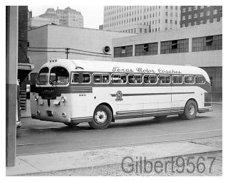 Texas Motor Coaches 8 X 10 Bus Photo 220 Taken Circa 1950