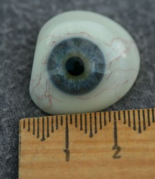 Premium Vintage Human Prosthetic Eye,  Rare Antique Glass Artificial Eye 132