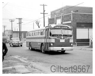 Queen City Coach/trailways 8 X 10 Bus Photo 1001 Taken Circa 1950