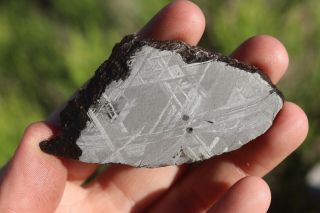 Muonionalusta Meteorite Etched Full Slice 40.  3 Grams