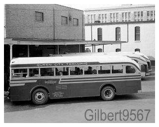 Queen City Coach/trailways 8 X 10 Bus Photo 644 Taken Circa 1950