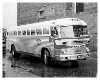 Carolina Coach/trailwyas 8 X 10 Bus Photo C - 821 Taken Circa 1950