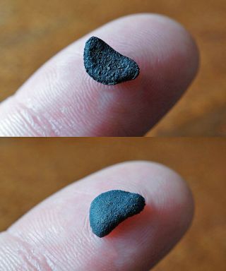 Tiniest Oriented Aguas Zarcas Costa Rica Cm2 Meteorite