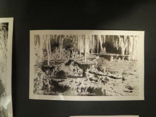 Kodak Prints for Your Album,  14 Snapshots,  Carlsbad Caverns,  Vintage 1940 ' s 4