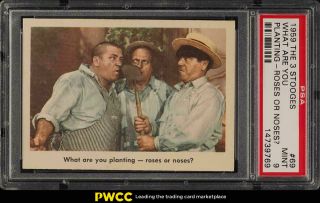 1959 Fleer The 3 Stooges Setbreak What Are You Planting 69 Psa 9 (pwcc)
