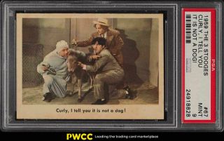 1959 Fleer The 3 Stooges Setbreak I Tell You It Is Not A Dog 67 Psa 9 (pwcc)