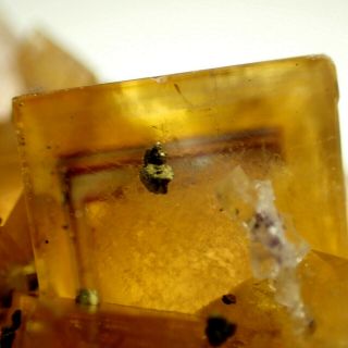 Fluorite Golden - Yellow Purple - Blue Zoned Crystals,  Galena Frohnau,  Germany