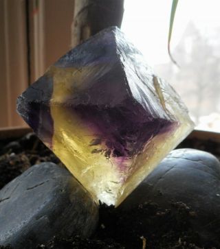 2.  5 x 2.  5 - Natural Octahedron Fluorite - Rare Deep Purple & Medium Yellow 5
