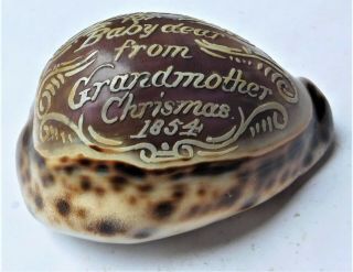 1854 Carved Inscribed Cowrie Shell Gift Vintage Antique
