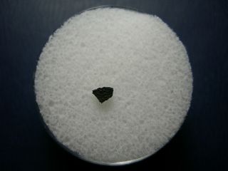 Tagish Lake Meteorite C2 Crust Carbonaceous Chondrite Canada Crusted Rare Imca A