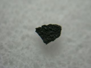 Tagish Lake Meteorite C2 CRUST Carbonaceous Chondrite Canada Crusted RARE IMCA a 2