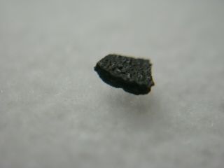 Tagish Lake Meteorite C2 CRUST Carbonaceous Chondrite Canada Crusted RARE IMCA a 4