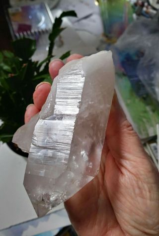 Large Lemurian quartz crystal,  multiple Isis faces multiple rainbows,  many stra 2