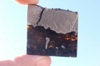 Seymchan Pallasite Meteorite Part Slice 24.  2 Grams