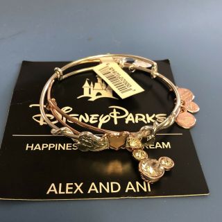 Disney Alex And Ani Mickey Minnie Heart Silver & Rose Gold Bracelet Set