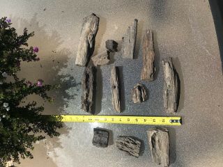 16lbs 10 0zarizona Desert Ironwood Petrified.  Assorted Sizes Woodworking Carving